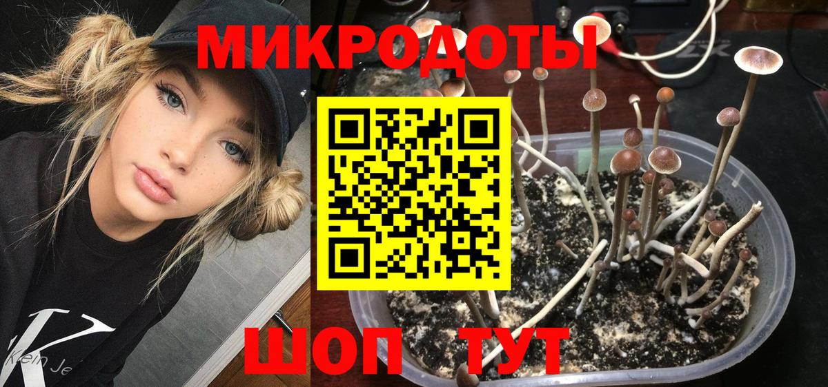 Галлюциногенные грибы Magic Shrooms  Вход с VPN  Ртищево 